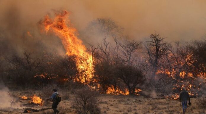 Fuerte rechazo de la federación agraria de Entre Rios a la ley del fuego impulsada por Máximo Kirchner