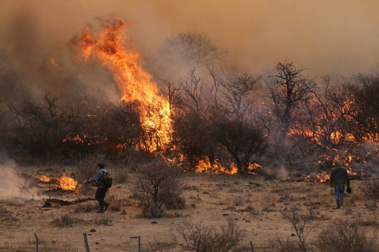incendios en cordoba