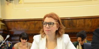 Karina Banfi: “El interés del NODIO es vigilar la opinión pública”