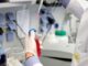 Coronavirus: EE.UU. aprueba la terapia con anticuerpos monoclonales que disminuye la carga viral