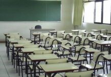 Analía García: “El año no se perdió, los que quisieron sí tuvieron clases”