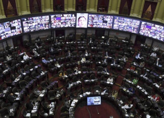 Legalización del aborto: cuál es el escenario en Diputados y el Senado