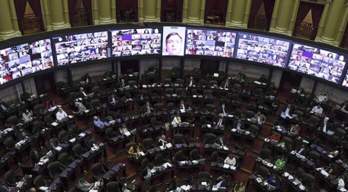 Legalización del aborto: cuál es el escenario en Diputados y el Senado