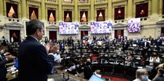 La Ley del Aborto obtuvo media sanción en Diputados