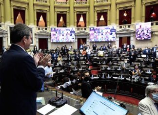 La Ley del Aborto obtuvo media sanción en Diputados