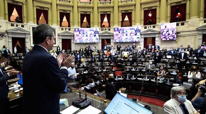 La Ley del Aborto obtuvo media sanción en Diputados