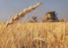 El testimonio de un productor agropecuario tras la baja de retenciones al campo: “Es muy positivo”