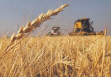 El testimonio de un productor agropecuario tras la baja de retenciones al campo: “Es muy positivo”