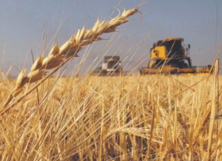 El testimonio de un productor agropecuario tras la baja de retenciones al campo: “Es muy positivo”