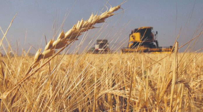 El testimonio de un productor agropecuario tras la baja de retenciones al campo: “Es muy positivo”