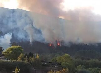 María Aguilar: “El incendio de El Bolsón empezó por una chispa que salió volando”