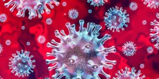 ¿Cuál es la diferencia entre mutación y variante en un virus?