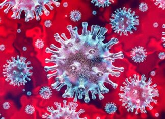 ¿Cuál es la diferencia entre mutación y variante en un virus?