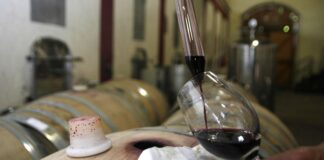 Un hallazgo sobre el Malbec argentino fue reconocido por una revista británica