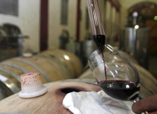 Un hallazgo sobre el Malbec argentino fue reconocido por una revista británica
