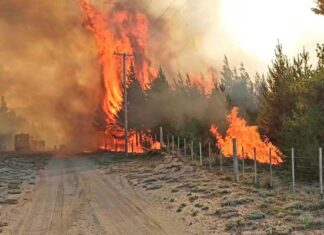 Juan Martin: “Los incendios fueron provocados intencionalmente por individuos disfrazados de mapuches”
