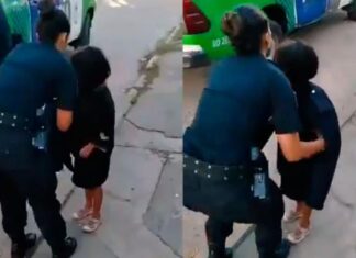 El testimonio de la vecina que llamó al 911 tras cruzarse al secuestrador de Maia