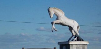 La vida en Tordillo: un pueblo en fase 5