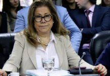 Graciela Camaño: “El proyecto de biocombustibles cambia las reglas a los inversores y en materia ambiental”