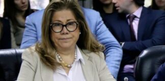 Graciela Camaño, sobre el discurso de apertura de la Asamblea Legislativa: “Hay un absoluto incumplimiento de lo que se dice”