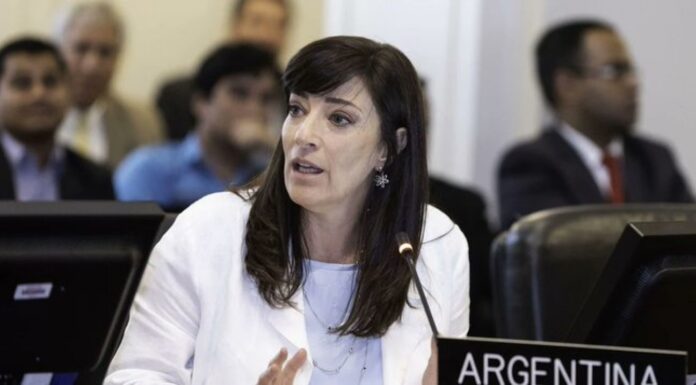 Paula Bertol: “Me da la sensación de que Argentina va camino a ser Venezuela o Nicaragua”