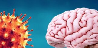 Advierten sobre un ‘tsunami cerebral’ causado por el coronavirus