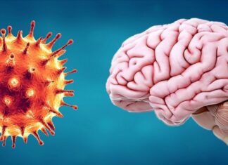 Advierten sobre un ‘tsunami cerebral’ causado por el coronavirus
