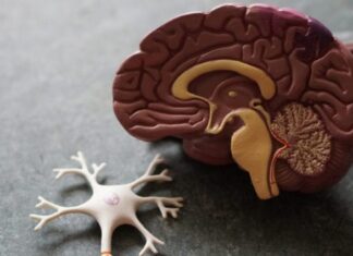 Aprueban una prometedora droga para tratar el Alzheimer en su estadío inicial