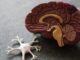 Aprueban una prometedora droga para tratar el Alzheimer en su estadío inicial