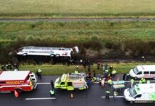 El testimonio de una pasajera del micro que volcó en Ruta 2: “Parece que el chofer se quedó dormido”