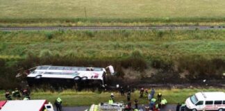 El testimonio de una pasajera del micro que volcó en Ruta 2: “Parece que el chofer se quedó dormido”