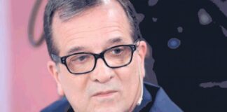 Ignacio Previgliano, sobre el festejo de Fabiola Yáñez en Olivos: “Se les escapó la tortuga”