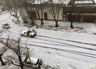 Saladillo: el día después del fuertísimo temporal