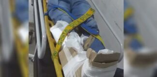 Chaco: sufrió una fractura expuesta y lo enyesaron con cartón