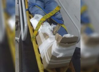Chaco: sufrió una fractura expuesta y lo enyesaron con cartón