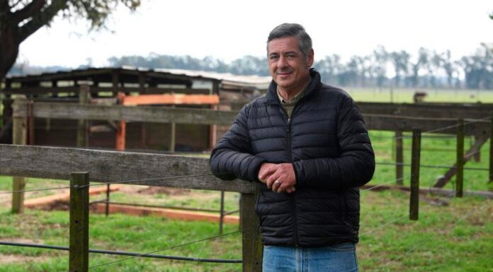 Nicolás Pino: “La medida tiene sabor a poco”