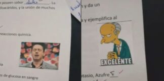 Furor en las redes: una profesora argentina corrigió los exámenes de sus alumnos con memes