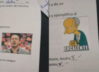 Furor en las redes: una profesora argentina corrigió los exámenes de sus alumnos con memes