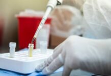 Argentina: la vacuna contra la bronquiolitis avanza a la fase 3 de un estudio