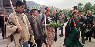 Desde Chile relacionan a líderes mapuches con las FARC por supuestos viajes a Colombia