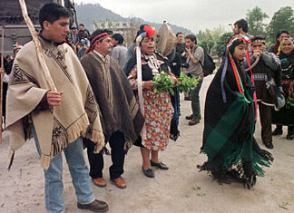 Desde Chile relacionan a líderes mapuches con las FARC por supuestos viajes a Colombia