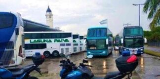 Rosario: tres choferes de micro dieron positivo de narcolemia antes de un viaje de egresados