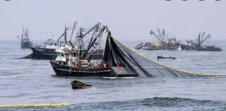 Ante el ingreso de 300 busques chinos al Atlántico, la Armada dispuso un operativo de patrullaje
