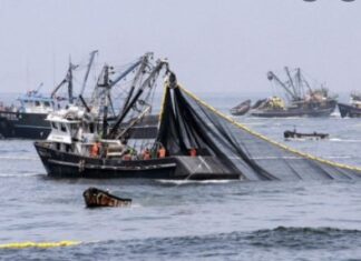 Ante el ingreso de 300 busques chinos al Atlántico, la Armada dispuso un operativo de patrullaje