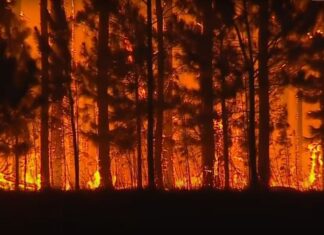 La emoción de un productor agropecuario tras las donaciones que están llegando a Corrientes