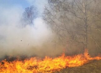 El fiscal de investigación rural y ambiental de Corrientes: “Hay 30 denuncias por incendios intencionales”
