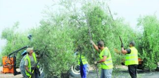 Federico Alonso: “La gente no quiere trabajar en blanco porque tienen millones de planes”