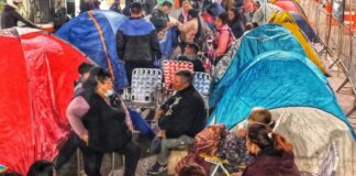 Denuncian agresiones de La Cámpora en la Facultad de Veterinaria