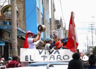 La fuerte crítica de un ex funcionario de Perú: “Castillo siempre fue un corrupto”