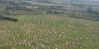 Marcelo Romero, sobre el fallo por la toma de Los Hornos: “Es algo inconcebible”